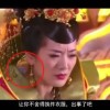 word2003电脑版下载安装包